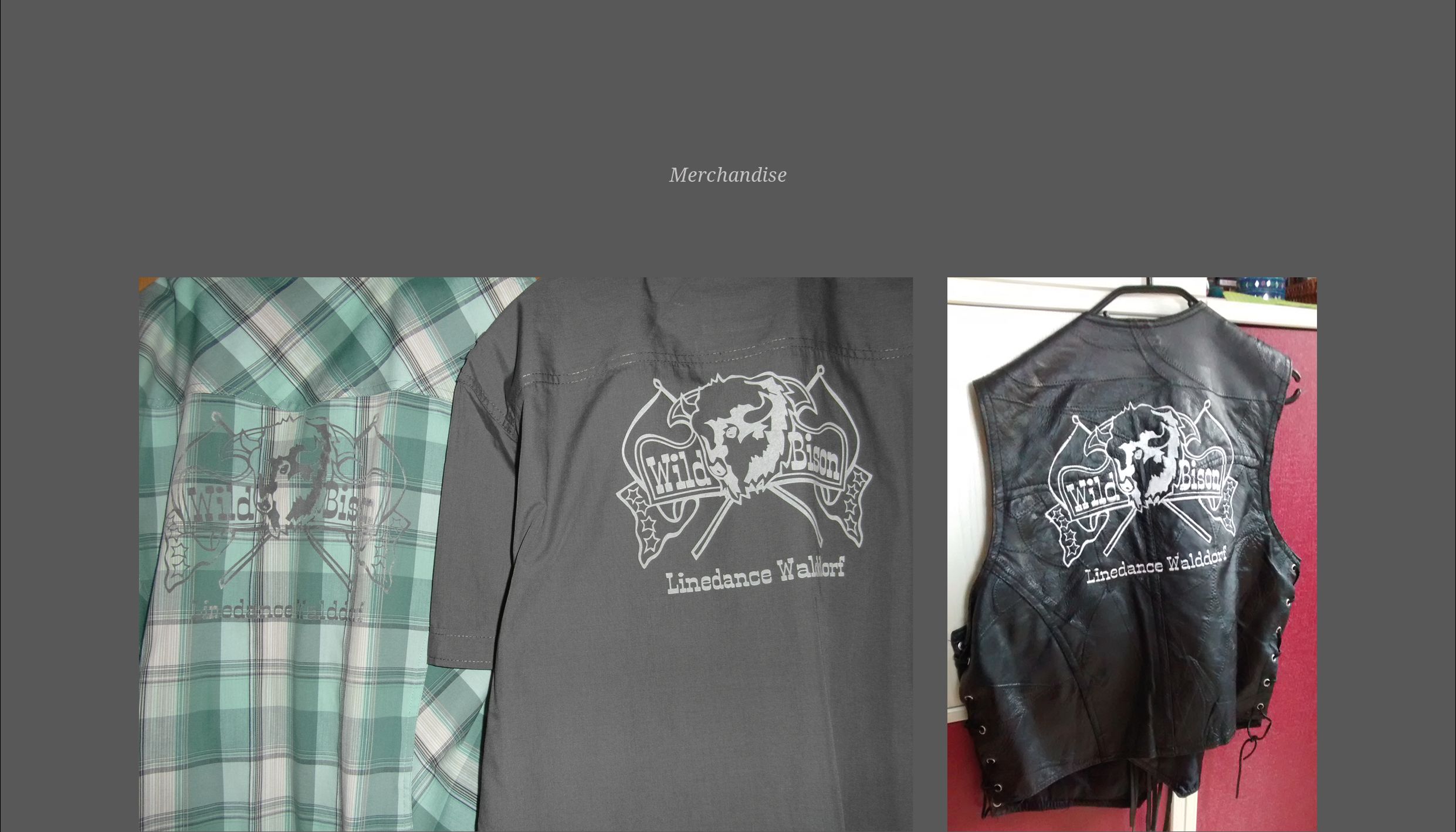 Wild Bison Linedance Logo Design Merchandise