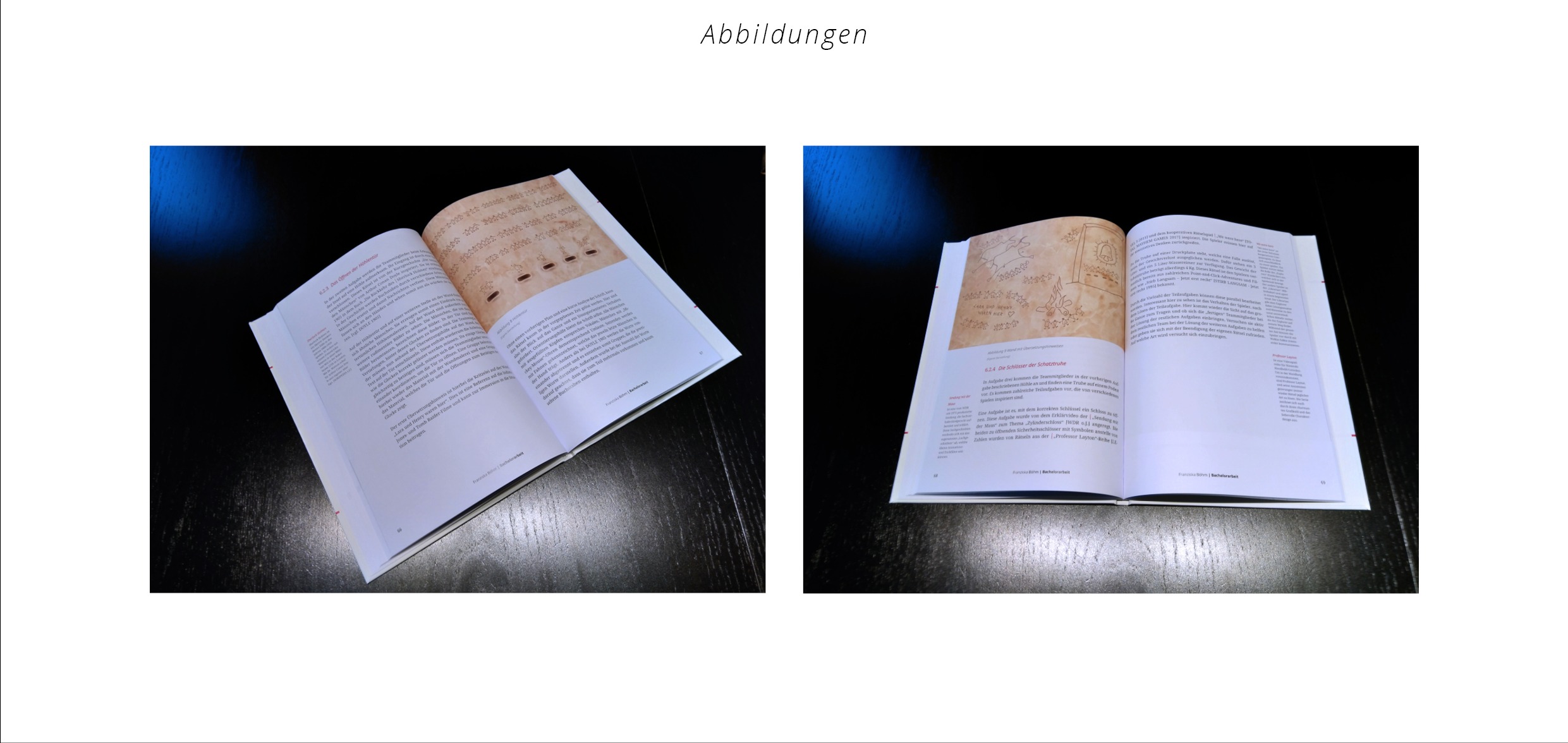 Bachelorarbeit Franziska Böhm Abbildungen