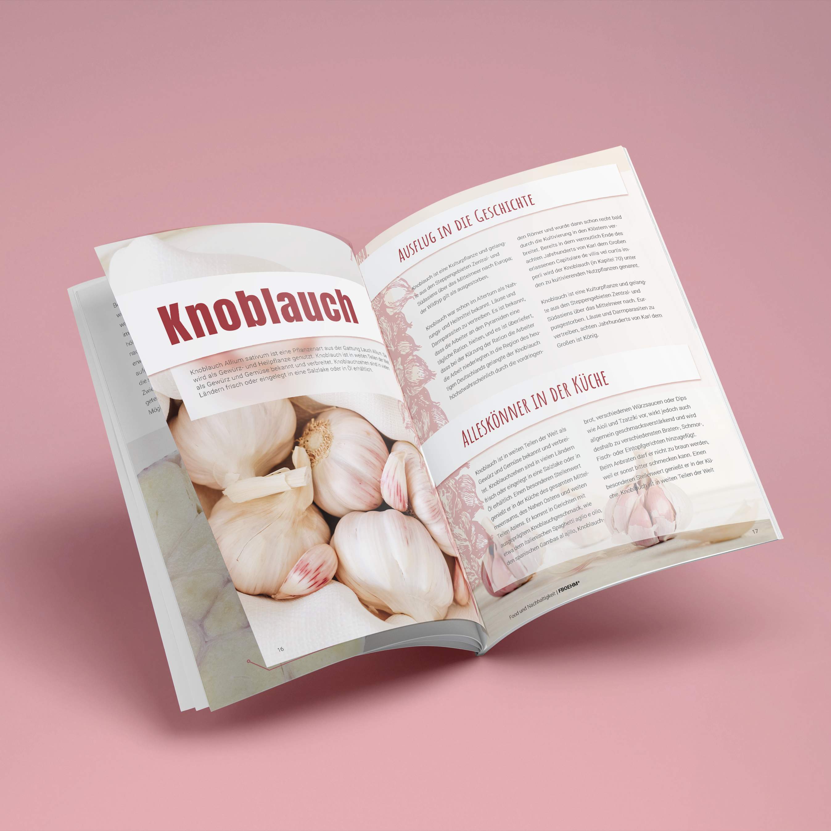 Magazingestaltung mit verschiedenen Themen, Aufmacherseiten und Folgeseiten