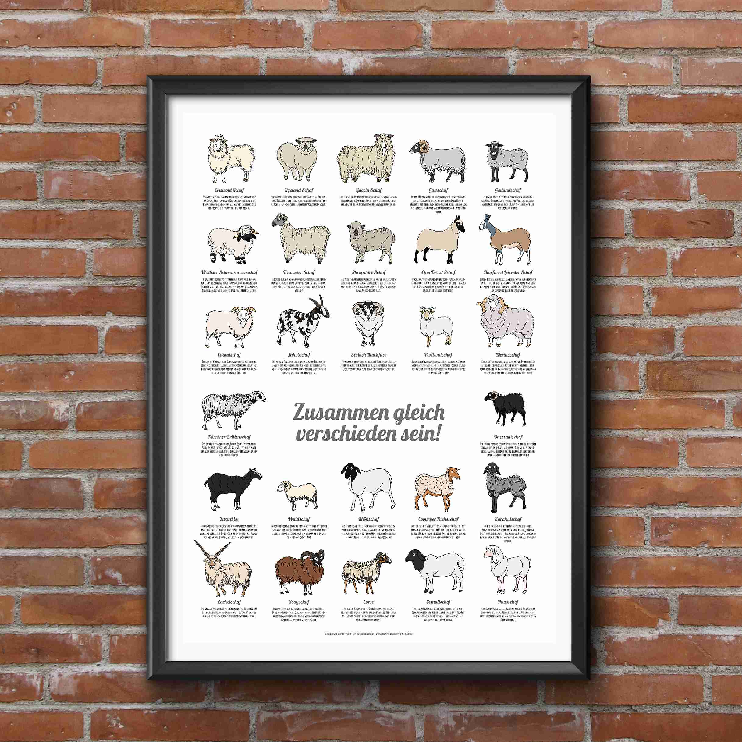 Schafplakat Zusammen gleich verschieden sein