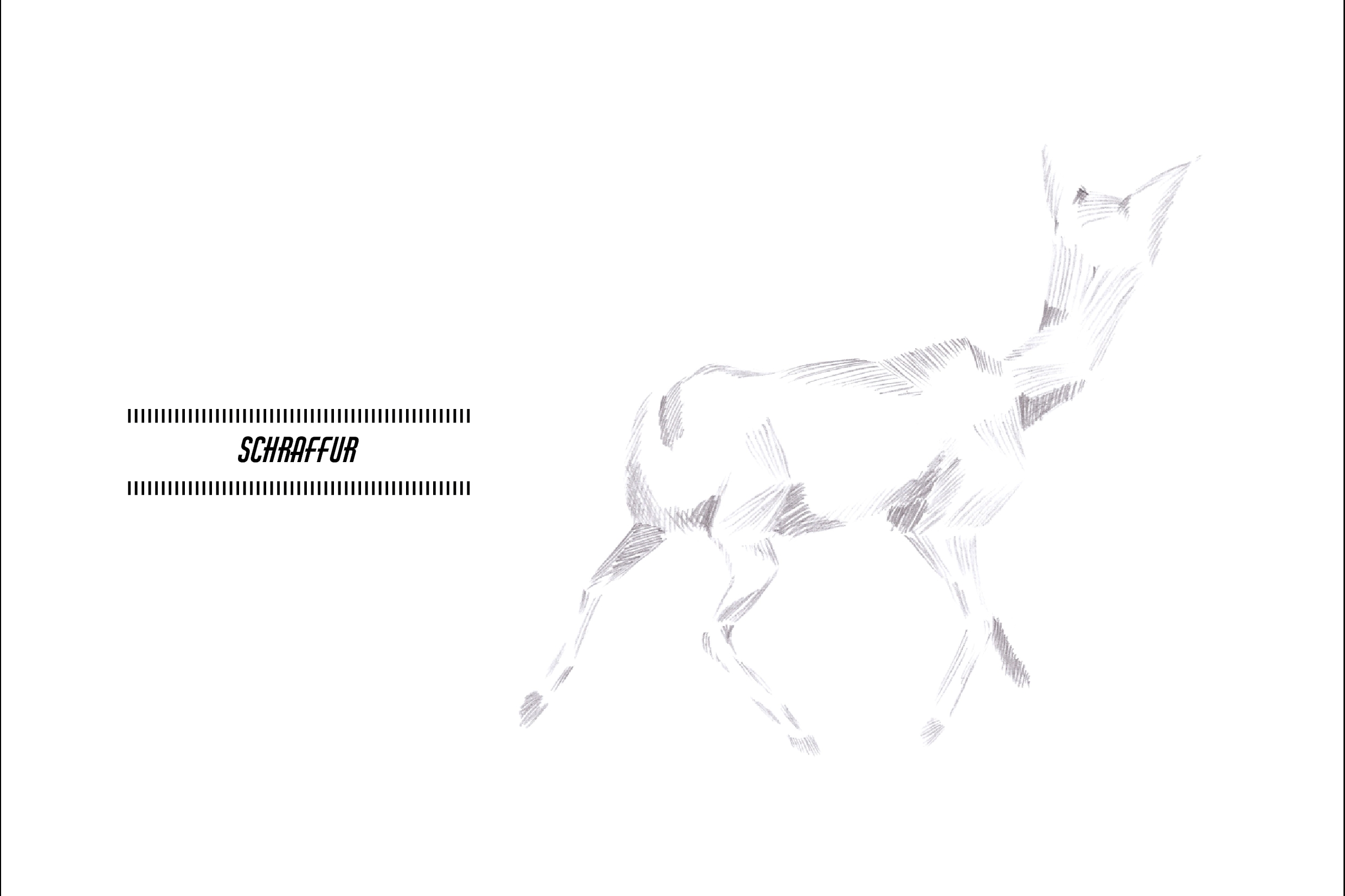 Reh Illustration Schraffur