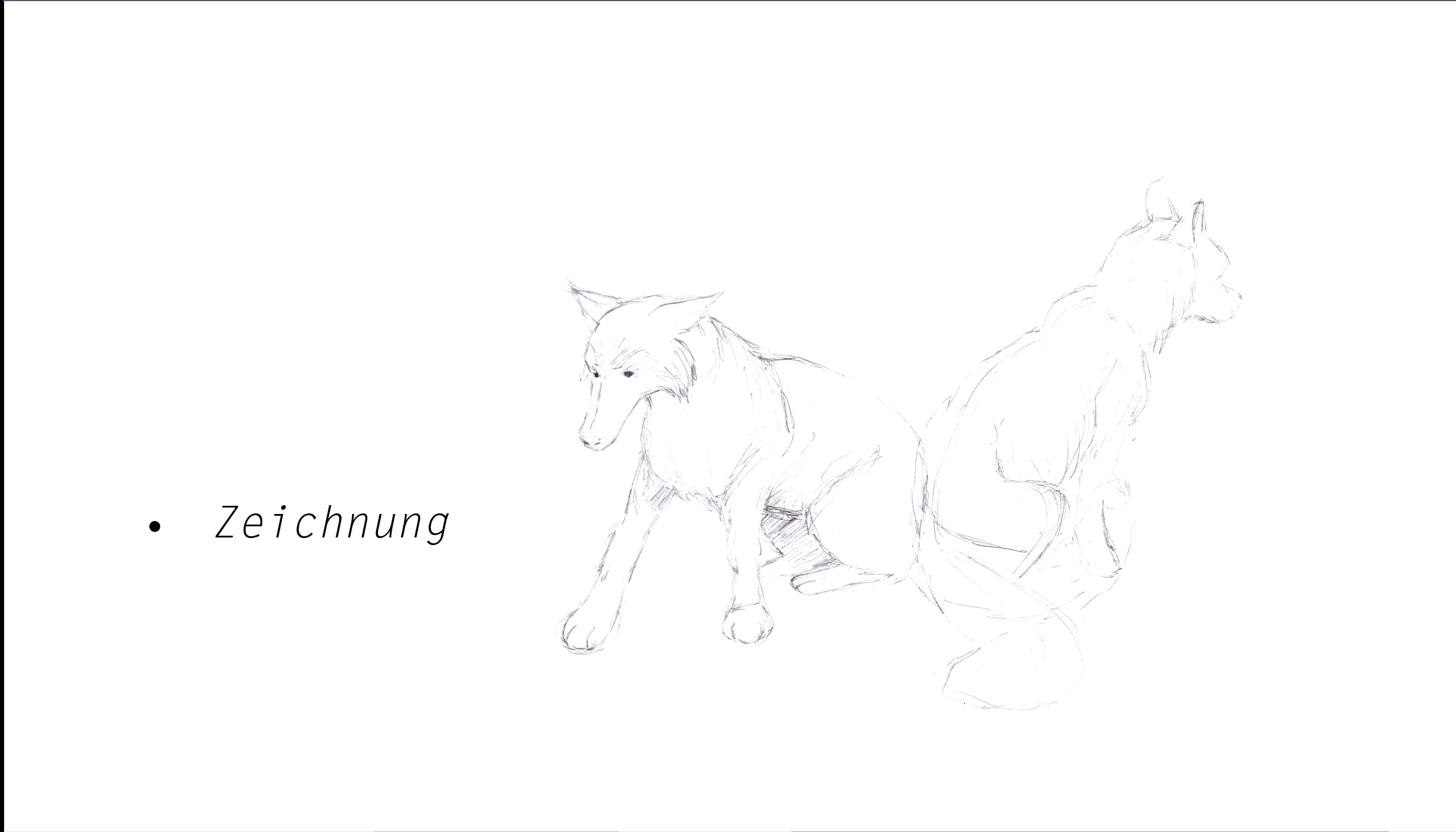 Wolf Illustration normal